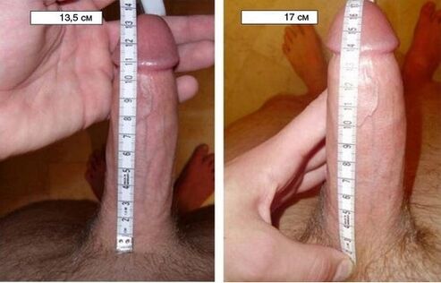 Penis before and after enlarging with a pump