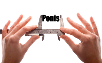 small penis in men, whereas it affects the sexual life